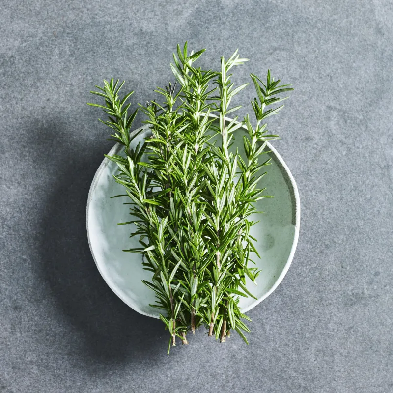 maiden grass plant Adagio Dwarf Maiden Grass – Gasper Home & Garden