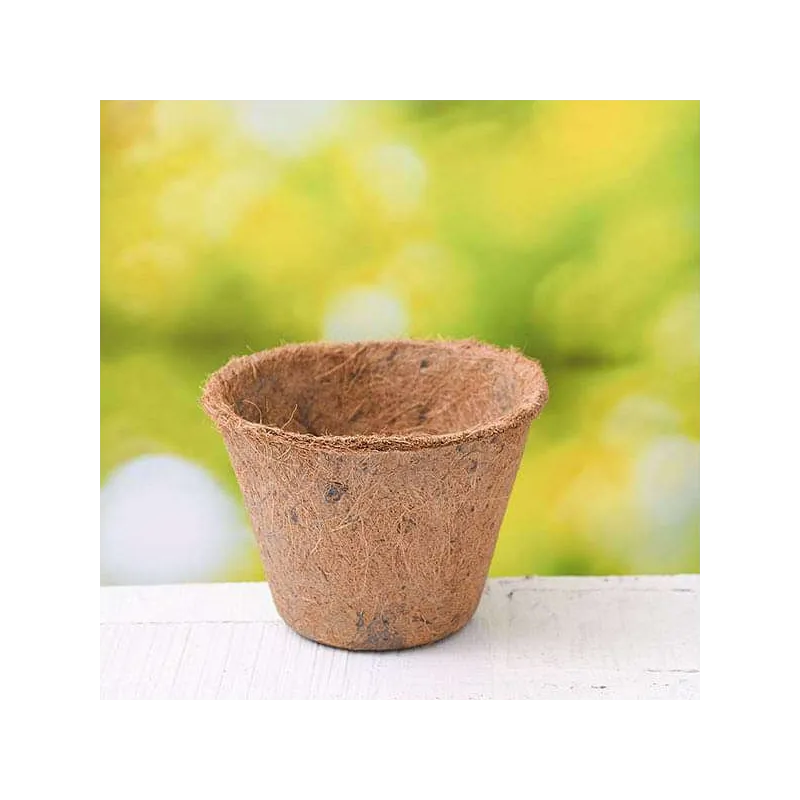 6 inch coir pot bazodo